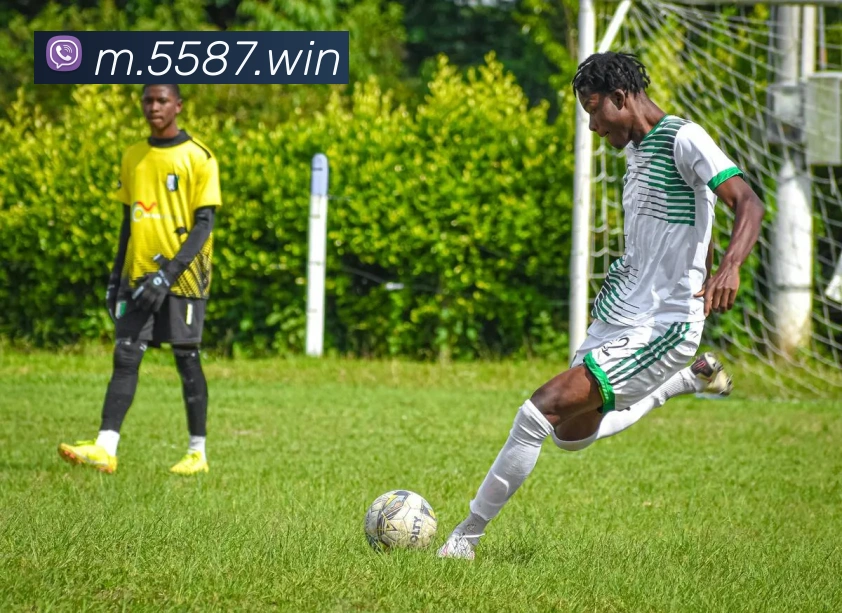 赛事专题整合